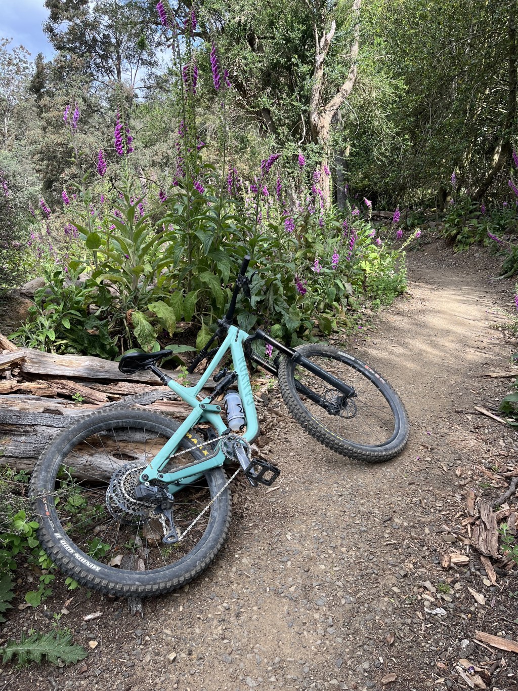 139 Days -Torque&nbsp;Review