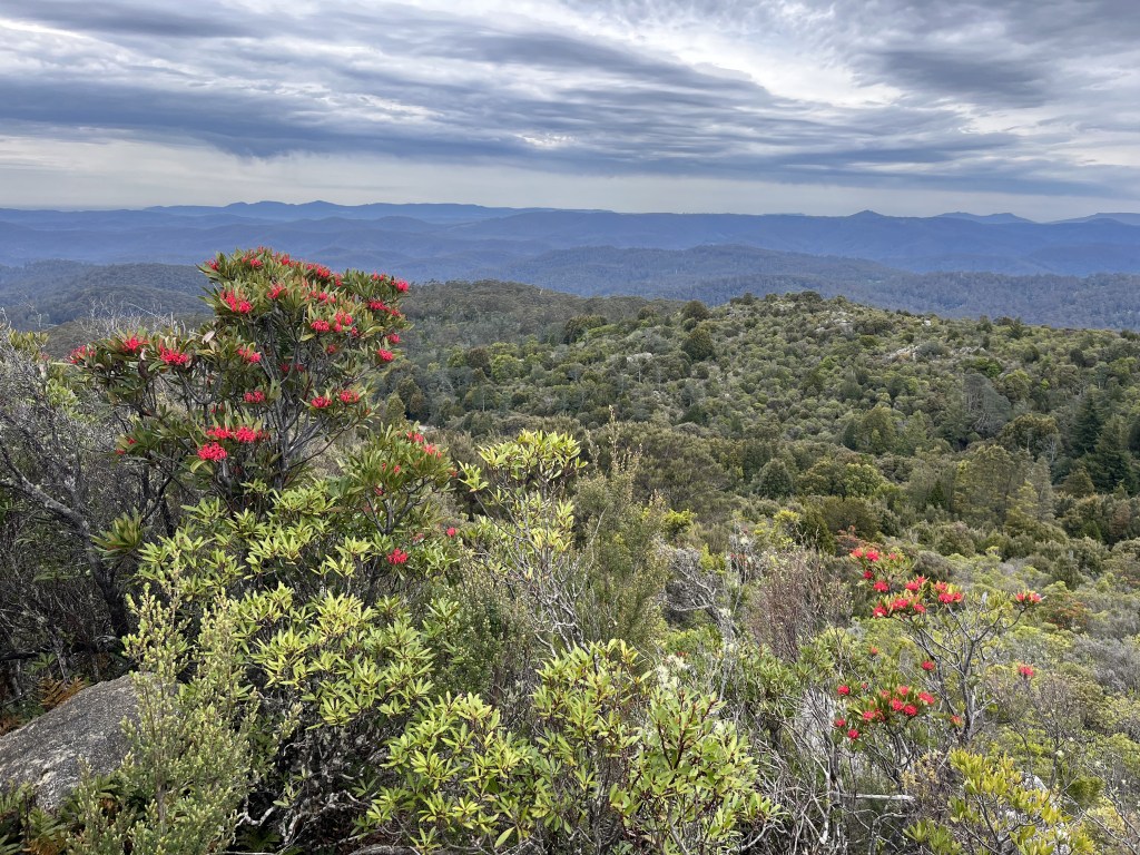 140 Days – Blue&nbsp;Tier